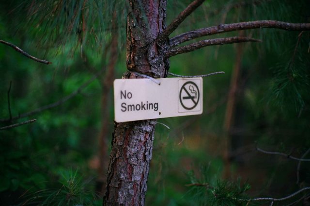 11_fuji 200 beessa r2