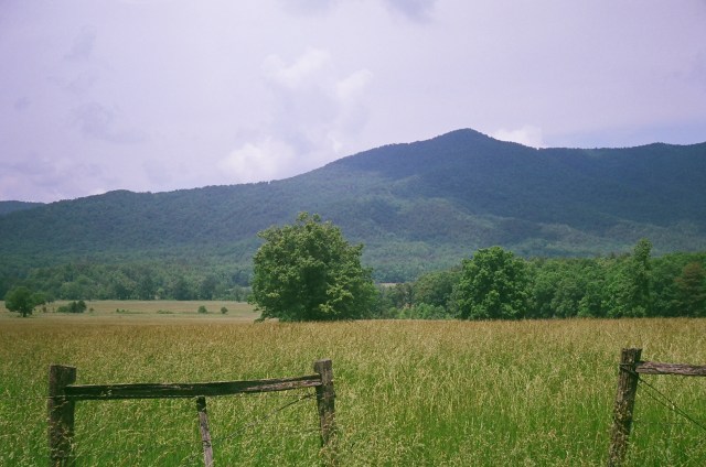 cades cove_Argus C3_fuji 400