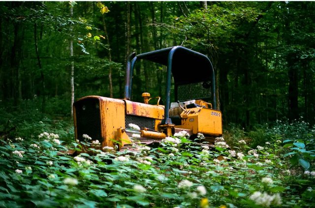 Yellow Tractor in the woods