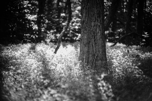 Break through in light