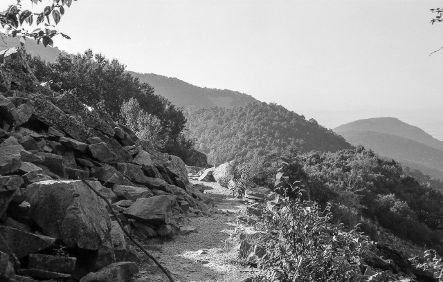 bessa-r4m-delta-100-at-200030