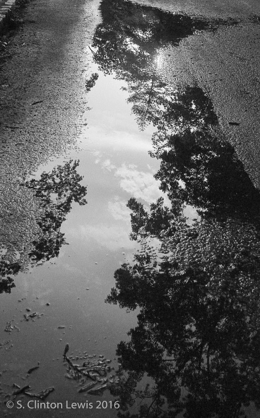 fujica-35ee-kentmere-400010